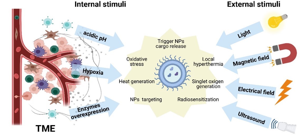 stimuli